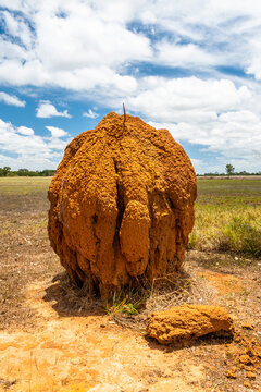 Isolated large termite mould in Queensland outback, Australia