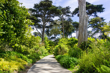 Walking path in the Botanical Garden located in Golden Gate Park; San Francisco, California