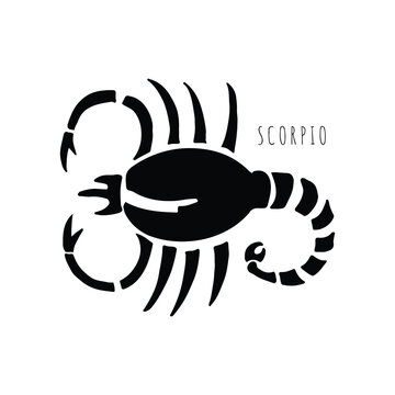 Sign of zodiac Scorpio. Hand drawn vector illustration isolated on white background. Design for apparel, postcard, card.