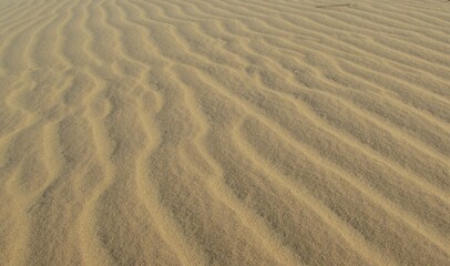 Fototapeta na wymiar View of the sand in the Sunset Dune in Jericoacoara, Brazil