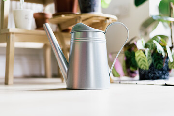 Metal watering can on a wooden floor