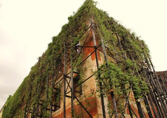 São Luis, Maranhão, Brazil - 22/Jun/2019: Old building covered with plants in São Luís,...