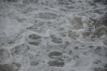 Sea foam on the surface of the sea