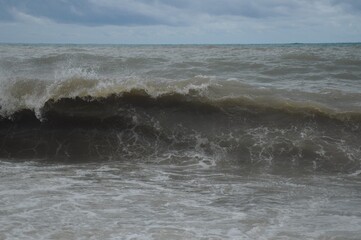 A nascent wave of foamy, rippling sea