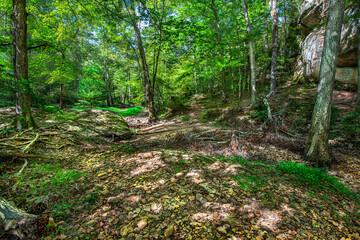 light and shadow painting a dry rocky river bed through a forest along cliffs on the right, sunlight trough the leaves creating various shades of green and yellow, Bell Smith Spring Il.