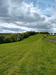 rural landscape with a road