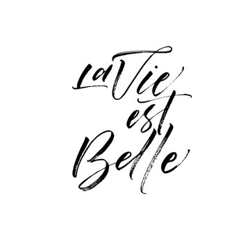 La vie est belle card. Modern vector brush calligraphy. Ink illustration with hand-drawn lettering. 