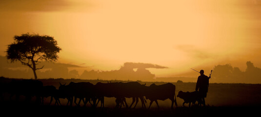 Fototapeta na wymiar Maasai Mara sunset and a farmer herding his cattle, Kenya
