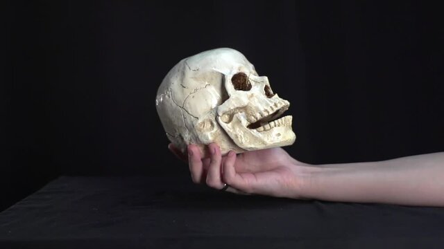 Antique magical beautiful skull in the hand of a female hand in black space