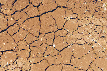 Dried cracked earth soil ground texture background. Mosaic pattern of sunny dried earth soil.