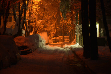 orange light in the snowy street 