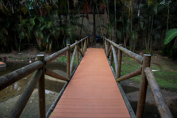 Field panoramic view, of a wooden bridge, near a lake and bushes.