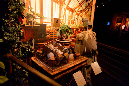 MADRID, SPAIN - NOV 22, 2017: Herbology Class, Wizarding World Of Harry Poter Experience In Madrid, Spain