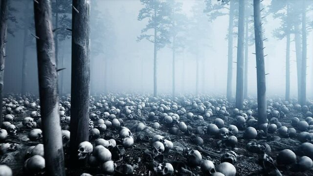 Scary old skulls in fog night forest. Fear and horror. Mistic and apocalypse concept. Realistic 4K animation.