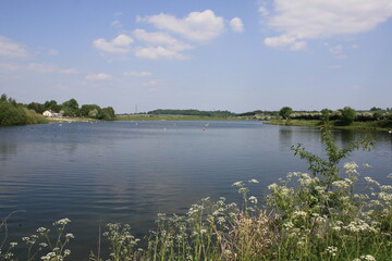 Fototapeta premium lake in the park