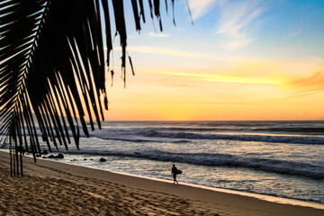 Fototapeta na wymiar Final de Tarde Com Surfista na praia do Hawaii