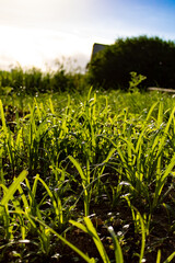 It all depends on the perspective.