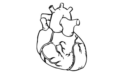corazon