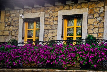 Fototapeta na wymiar windows and flowers