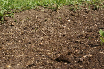 a brown and green garden top view. sow lawn, brown soil