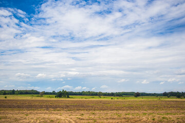 Obraz premium field and sky