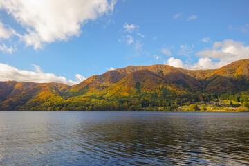 紅葉の木崎湖