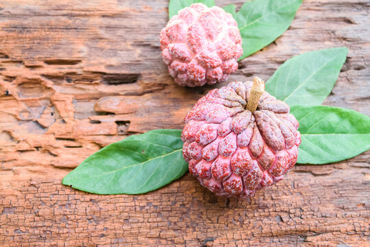 Purple Custard Apple Fruit