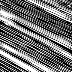 White and black vector. Grunge background. Abstract brush pattern.