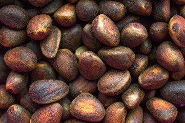 Nuts from cones of Siberian cedar