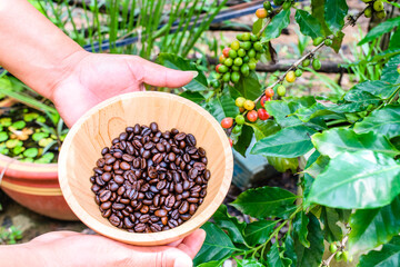 Coffee beans in wooden bowl