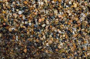 small colored pebbles on the shore