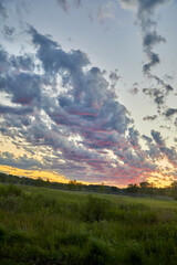 Vertical photo of colorful clouds in blues and pinks at sunset over a green field and yellow sky