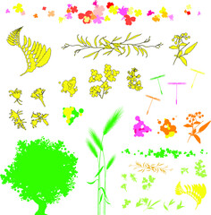 different outline illustrations of plants, flowers, leaves, flower buds, petals, seeds, grain, and trees in thin lines and full color