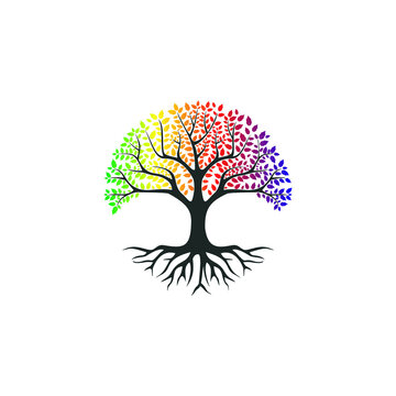 Tree of life logo design inspiration isolated on white background