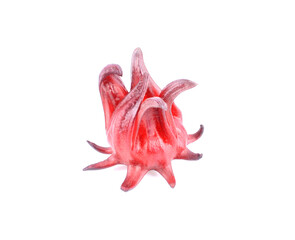 Roselle, red fruit flower on a white background.