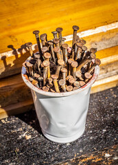 Old rusty nails in a plastic cup in the backyard.