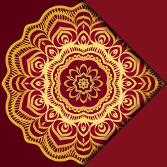 Mandala background. Vector illustration. For book cover