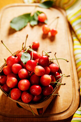ripe cherries in a basket on the table