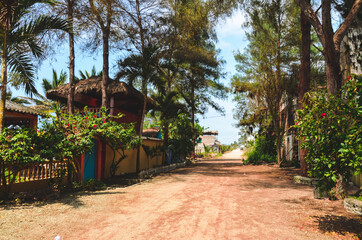 Fototapeta premium tropical garden with palm trees