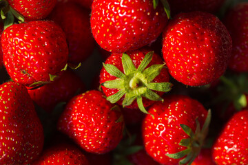 Close-up of ripe red strawberries