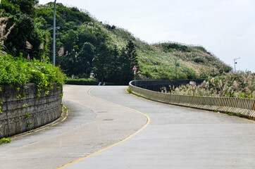 Fototapeta na wymiar Miscanthus next to the road at Matsu, Taiwan.