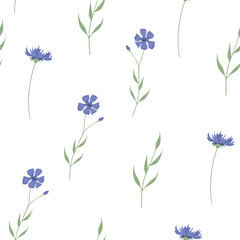 Vector seamless pattern with blue cornflowers