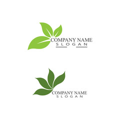 Leaf Logo Template vector symbol