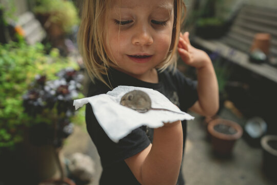 Little preschooler with a mouse in the yard