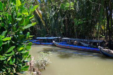 The canals in the Mekong Delta are surrounded by jungles and mangroves. Vietnamese rowing boats on canal waters