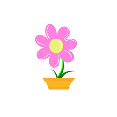 Flower in a pot 