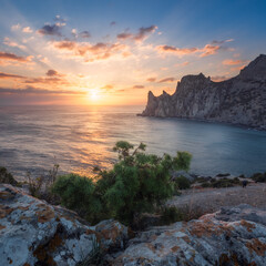 Scenic coastal landscape with green juniper on the foreground. Calm water in a round bay, beautiful rocks, colorful cloudy sky and setting sun 
with picturesque rays. Copy space on sky. Square frame.