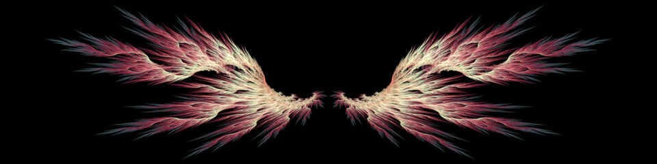 Fantasy angel wings on black background