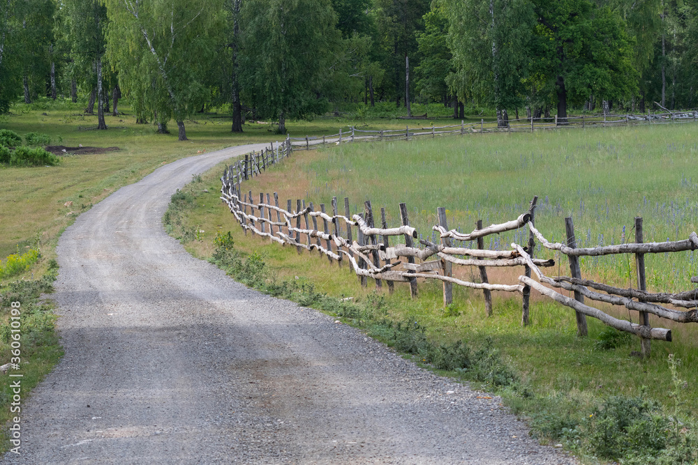 Wall mural Idyllic rural landscape. Meadow, wooden fence and road.