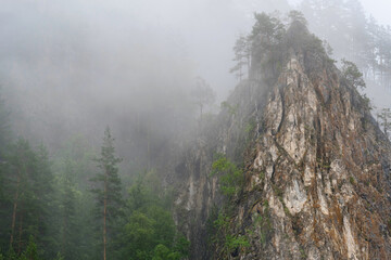Mountain landscape. Rock in the morning fog.